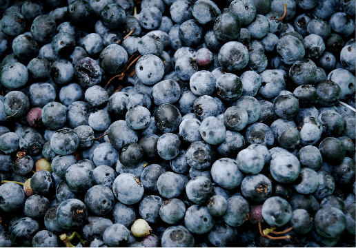 Blueberries