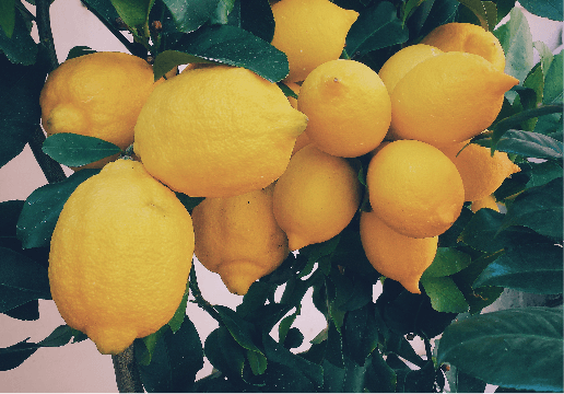 Lemons